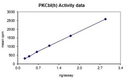 Eurofins DiscoverX PKC I Protein, Active 10 &mu;g | Buy Online | Eurofins DiscoverX | Fisher Scientific